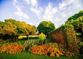 IMG_3542